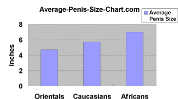ethnic average penis size