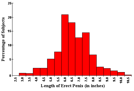 ethnic average penis size