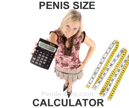 penis size calculator
